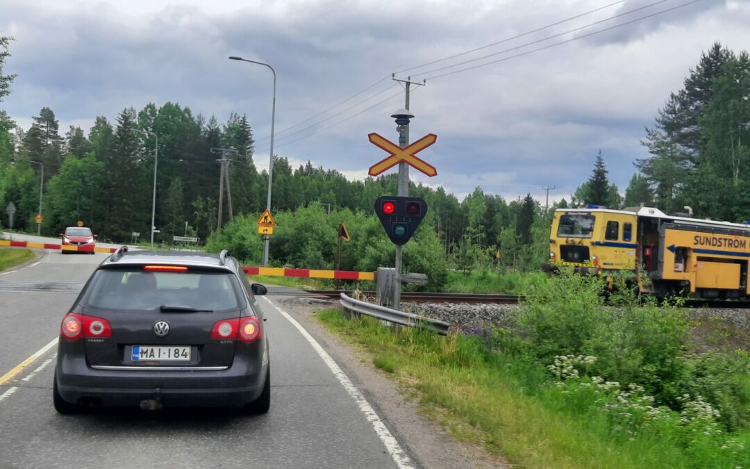 Juhon blogi: Metsäsuomalainen Vesanka