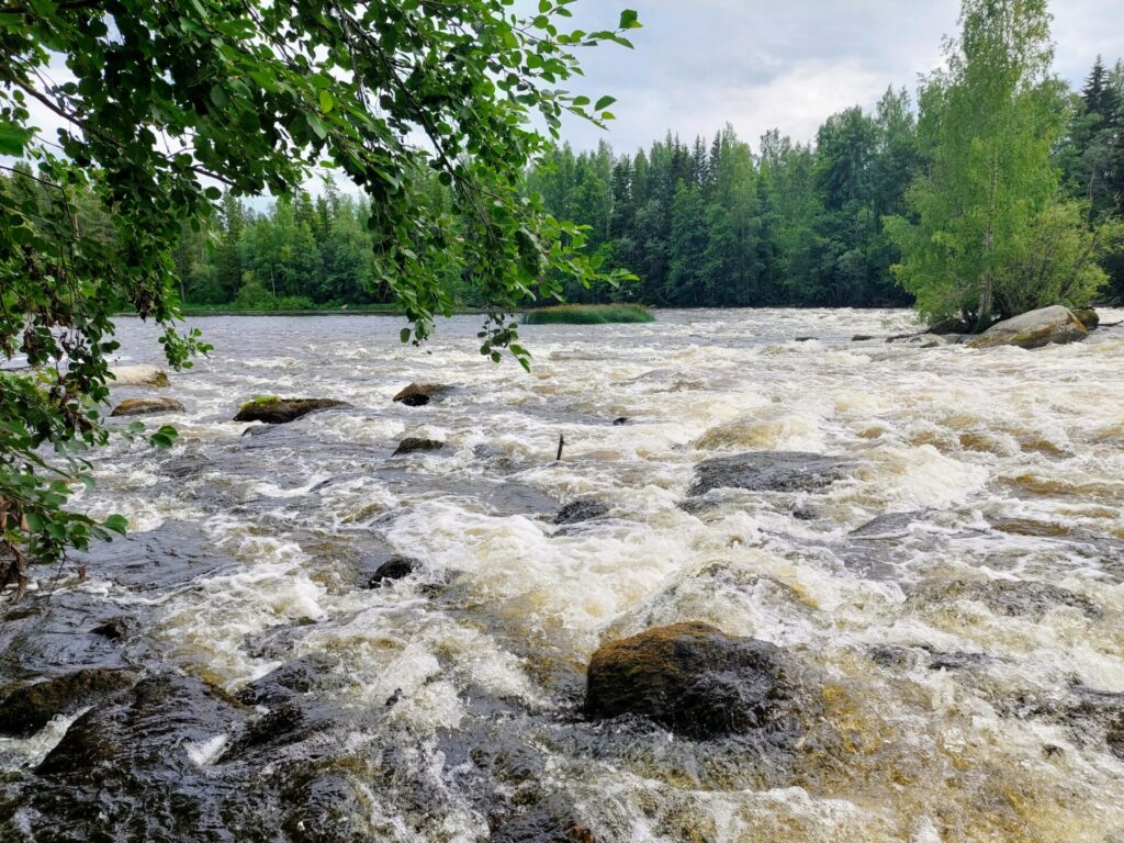 Kuohuva koski