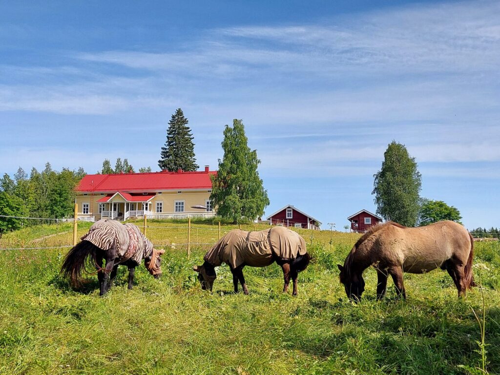 Peltomaisema, edessä kolme ruskeaa hevosta, taustalla yksi keltainen ja kaksi punaista rakennusta.