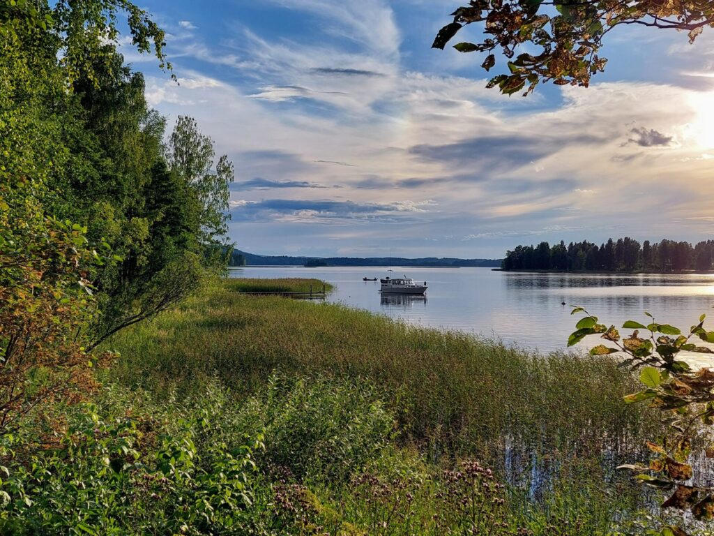 Järvimaisema ilta-auringossa, etualalla kaislikkoa, rannassa moottorivene
