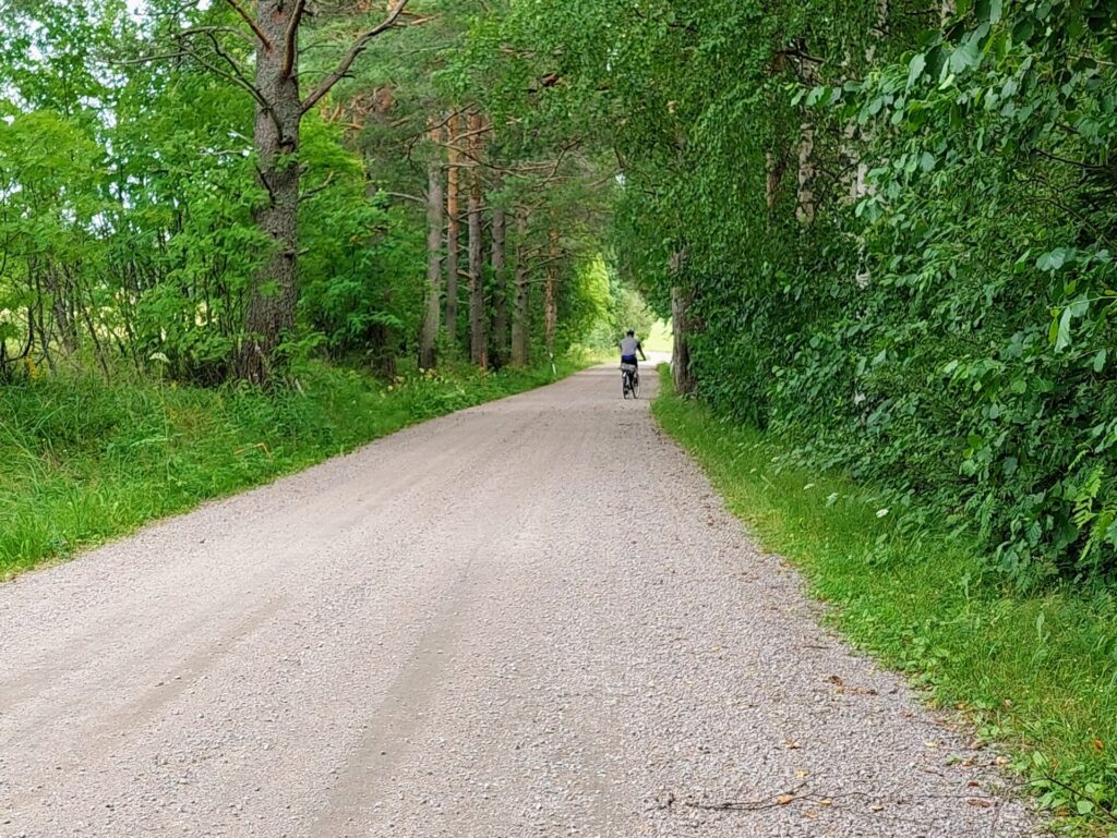 Hiekkatie, lehtimetsää molemmin puolin, tiellä pyöräilijä