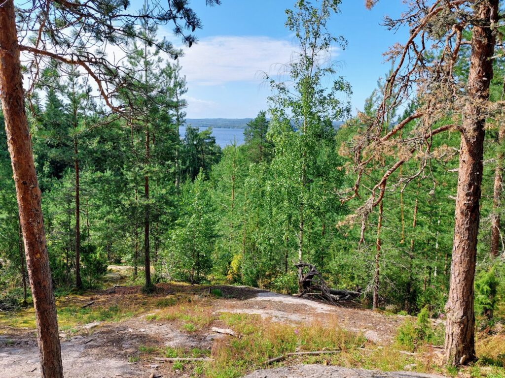 Kallioinen näköalapaikka järvelle, mäntyjä