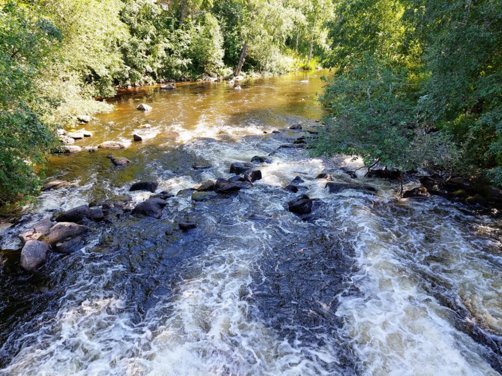 Kuva kosken alajuoksulta