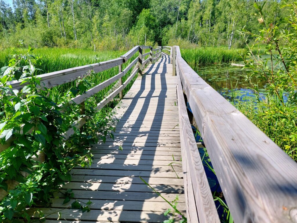 Puinen silta lammen yli