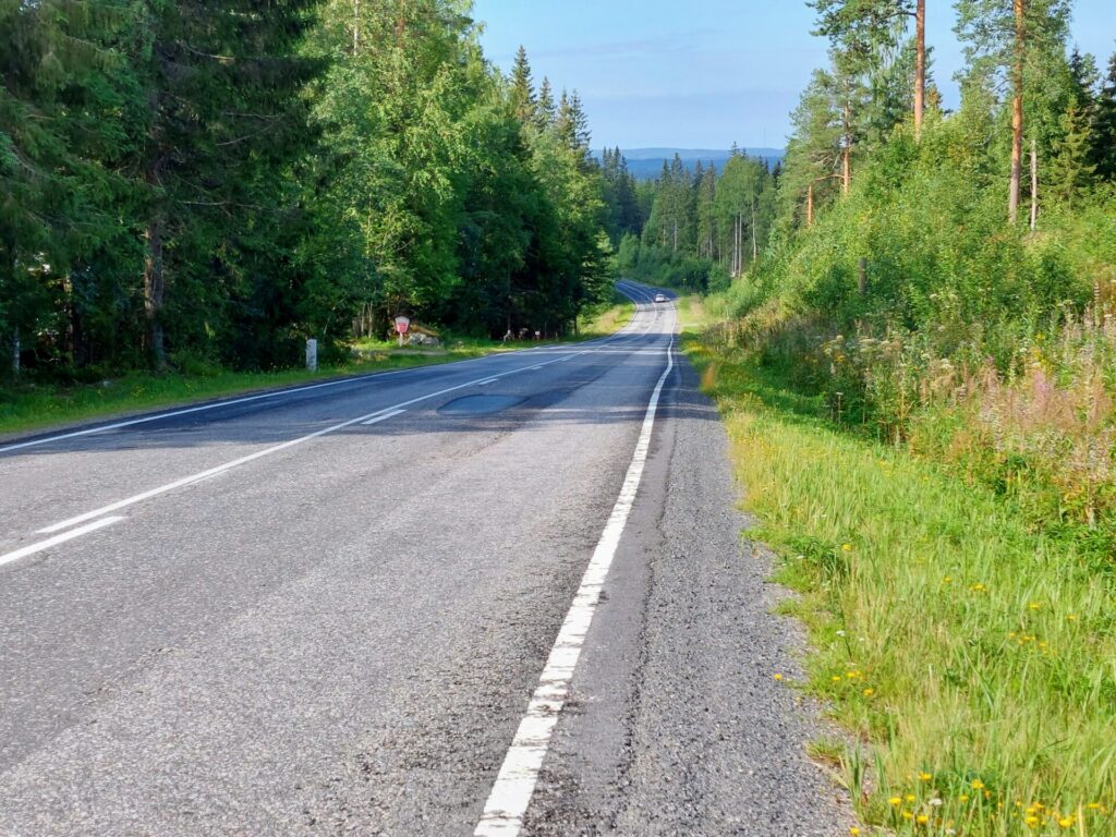 Asfalttitie, ympärillä metsää