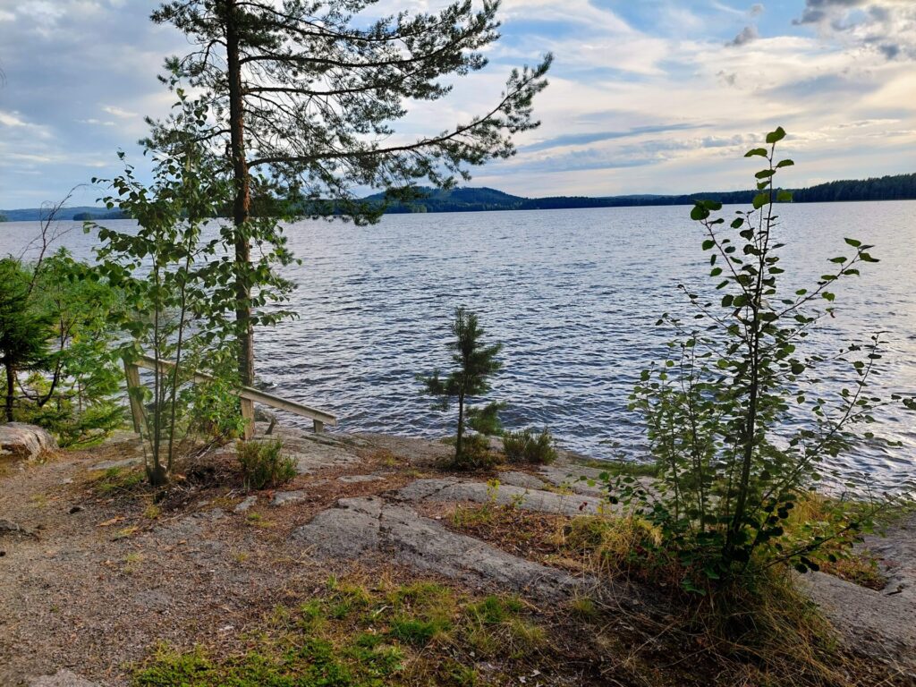 Järvimaisema, edessä kallioranta, muutamia pieniä puita.