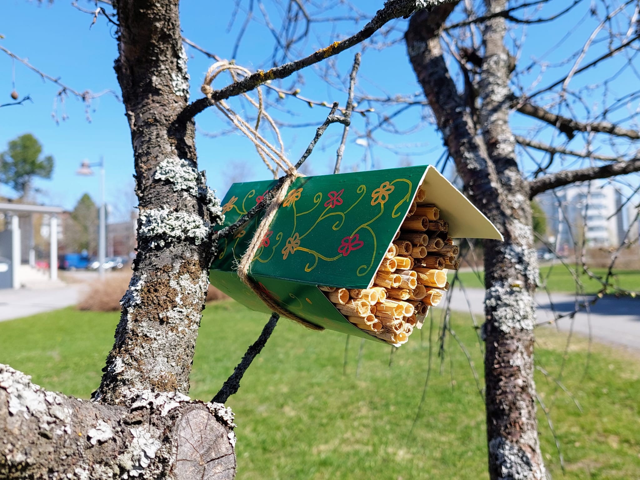 Kartonkitölkistä tehty hyönteishotelli puussa.