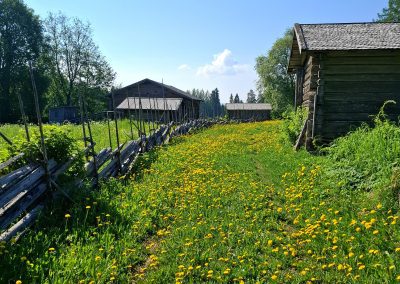 Vanhoja rakennuksia, riukuaita
