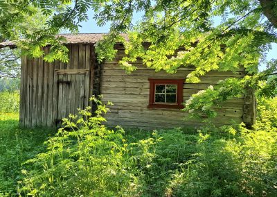 Vanha rakennus kasvillisuuden seassa