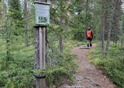 Ulkoilija luontopolulla