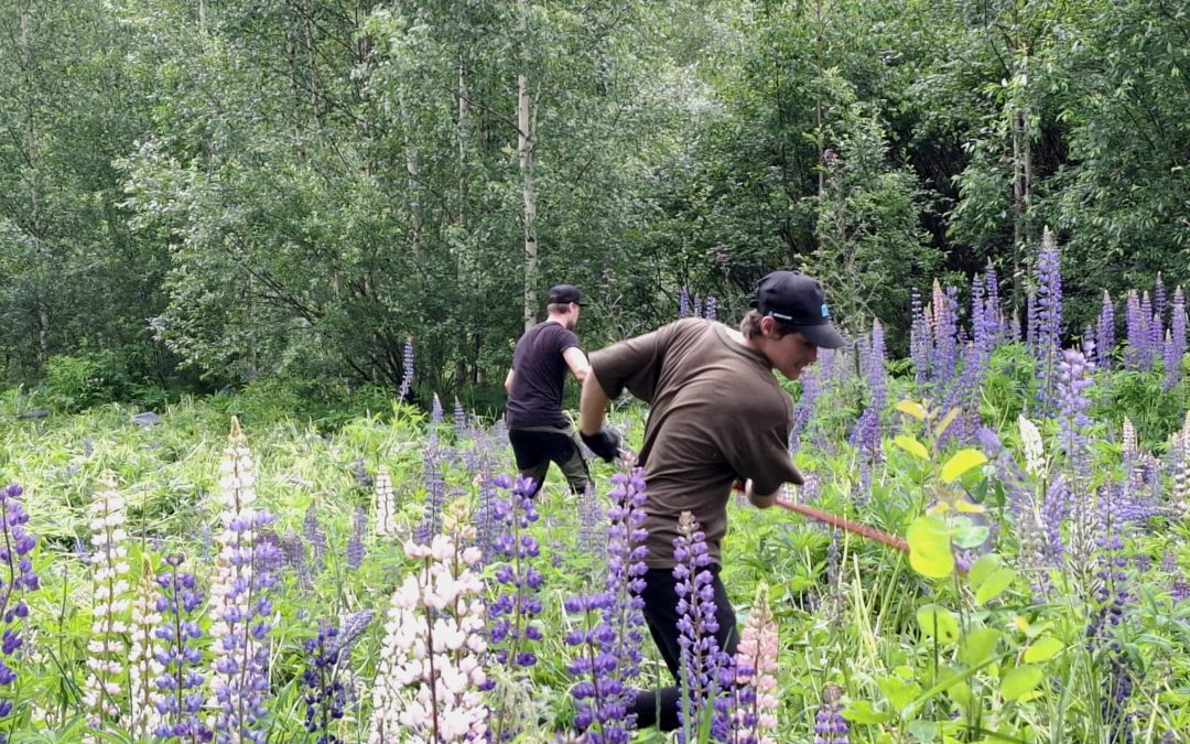 Elokuun uutiskirje julkaistu